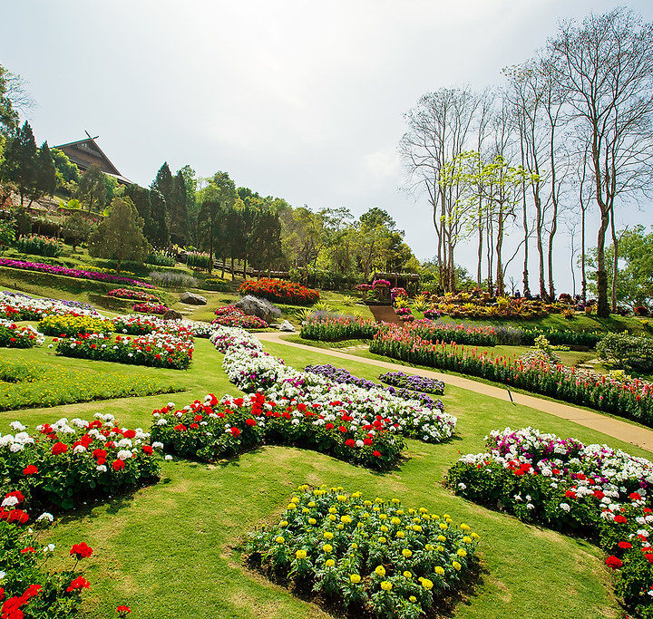 Jardin-Mae-Fah-Luang